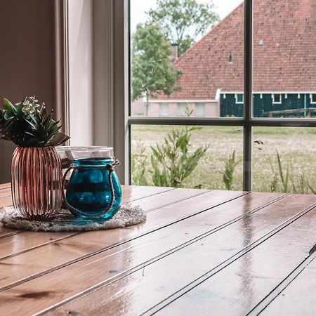 Friese Hoeve سنيك المظهر الخارجي الصورة